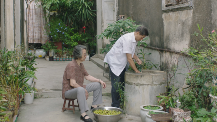 油柑靠「阿嬷」翻红:借势影视IP,药食同源的长线打法