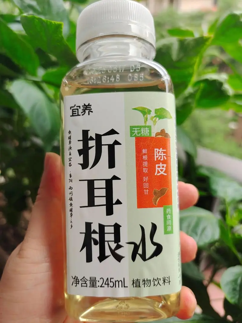 鱼腥草槲皮素:抗衰新宠,如何改写饮料行业?
