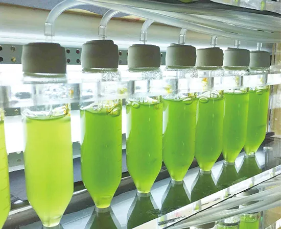 70%的消费者正在为“天然色素”买单?