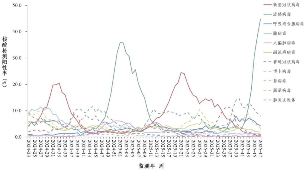 甲流攀升45%!手握新原料批文的接骨木莓,能否成为免疫食品赛道的天然奥司他韦?