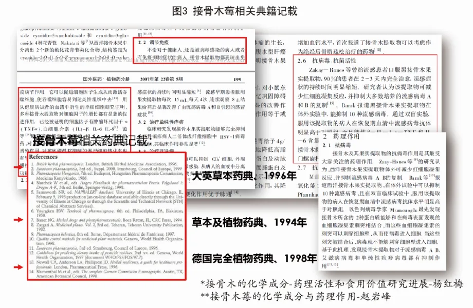 甲流攀升45%!手握新原料批文的接骨木莓,能否成为免疫食品赛道的天然奥司他韦?