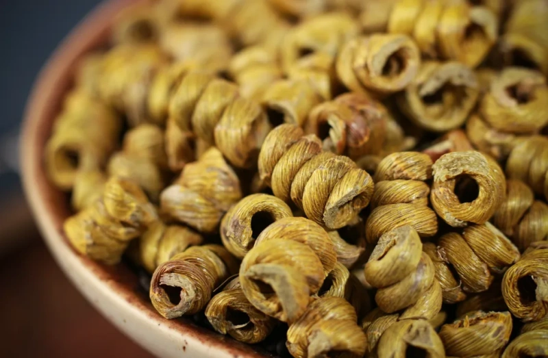 从“千年仙草”到杯中佳饮!铁皮石斛解锁养生饮品新赛道