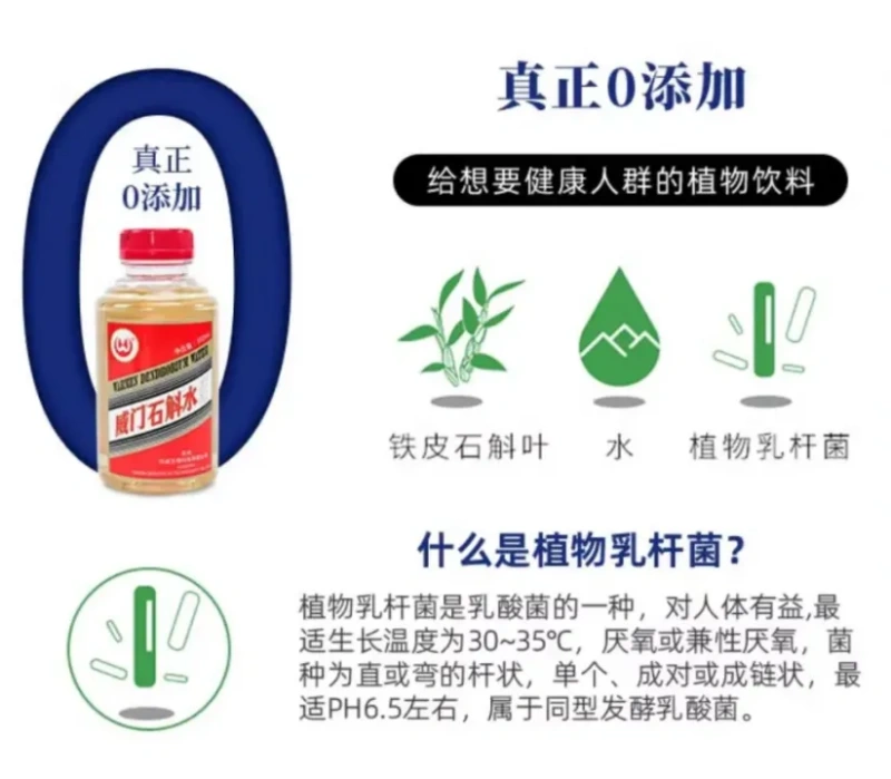 从“千年仙草”到杯中佳饮!铁皮石斛解锁养生饮品新赛道