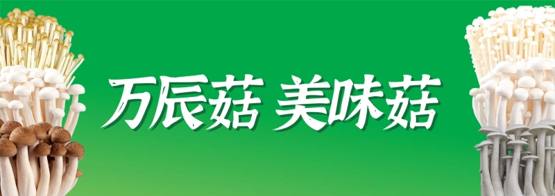 万辰集团更名！拟将公司中文名称正式变更为“福建万辰食品集团股份有限公司”