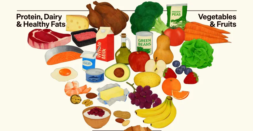 2025-2030年美国膳食指南发布:回归“真实食物”,重塑国家营养政策基石